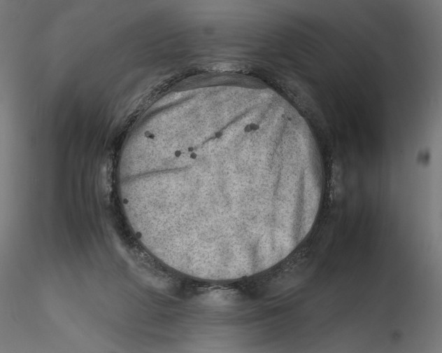 X0000116460210201001061045