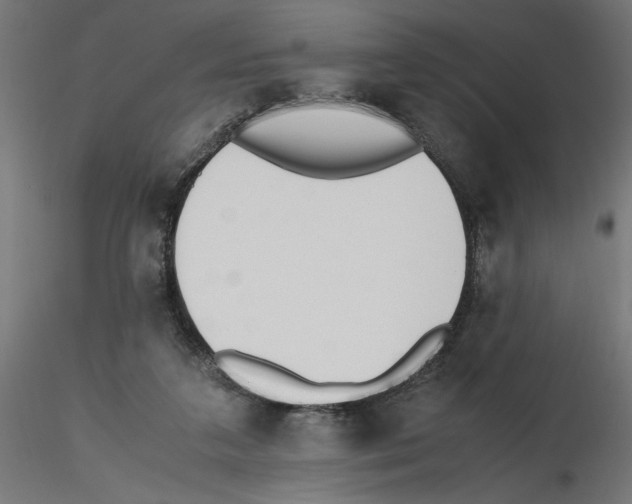 X0000116460211201001061045