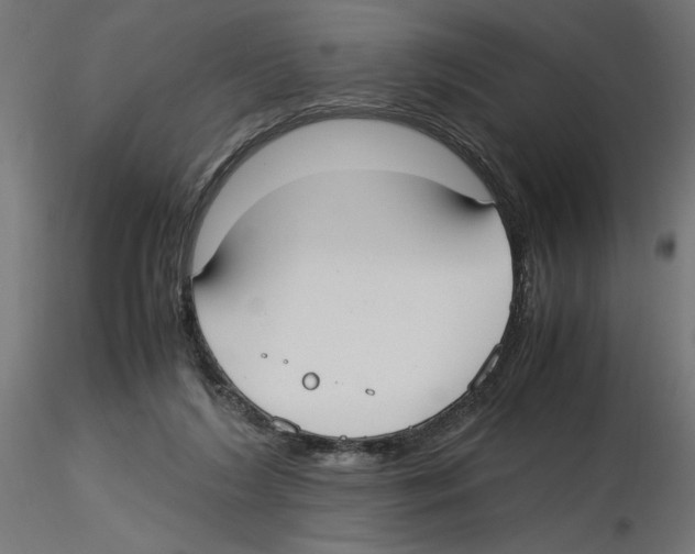 X0000116460212201001061045