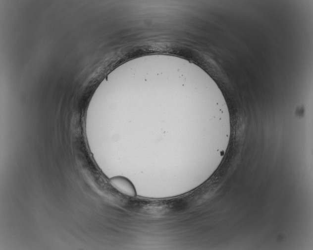 X0000116460213201001061045