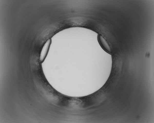 X0000116460215201001061045