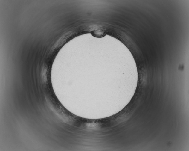 X0000116460216201001061045