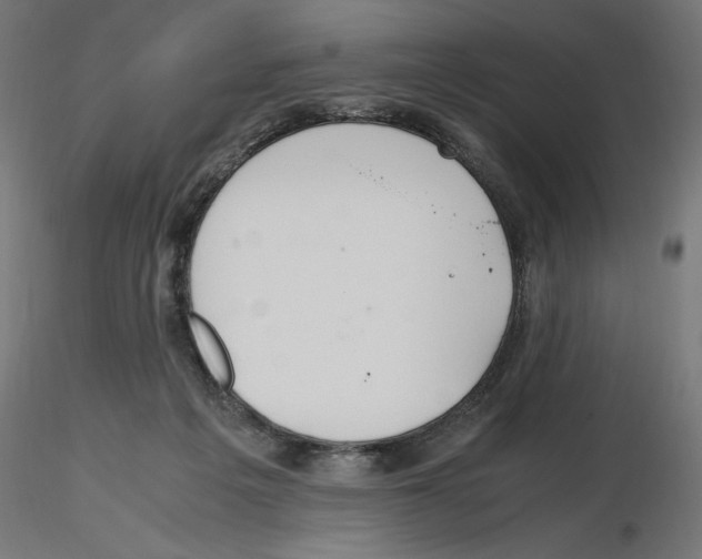 X0000116460217201001061045