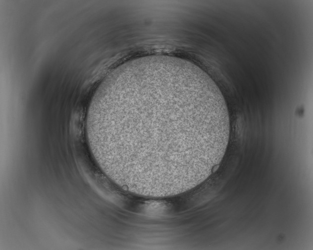 X0000116460218201001061045