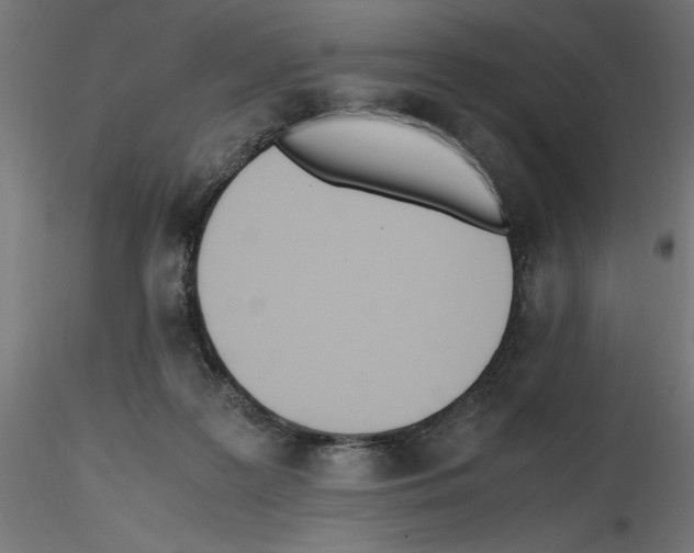 X0000116460219201001061045