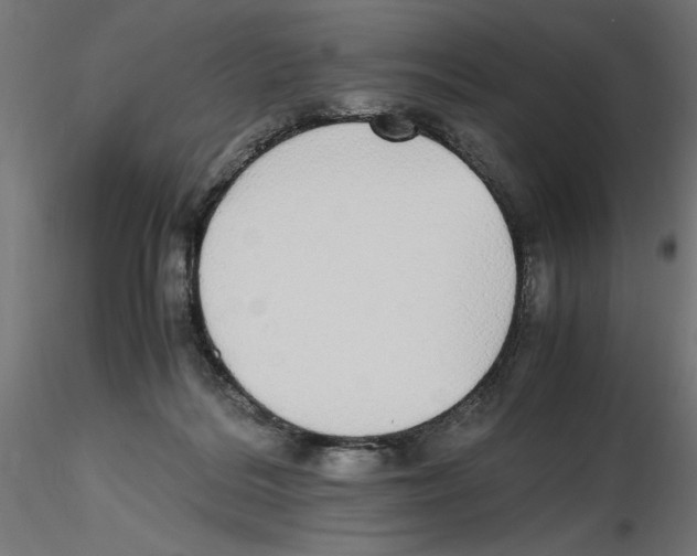 X0000116460220201001061045