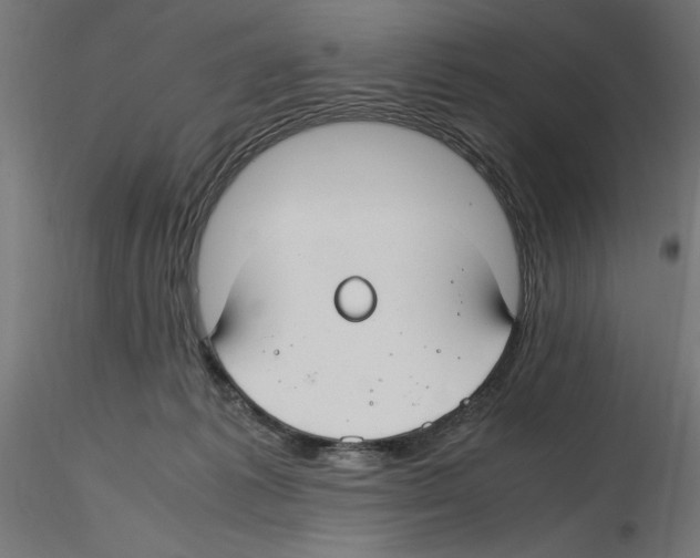 X0000116460221201001061045