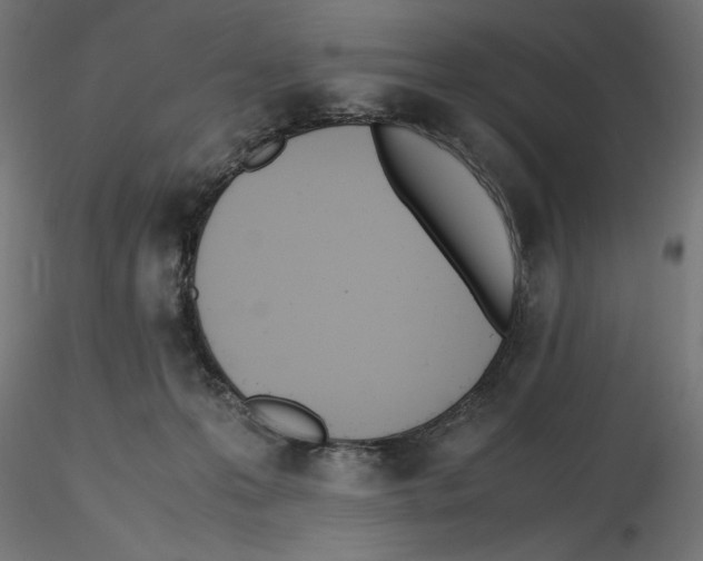 X0000116460223201001061045