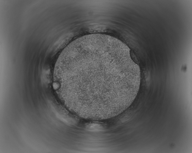 X0000116460224201001061045