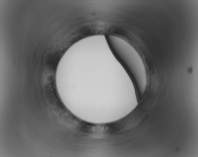 X0000116460225201001061045