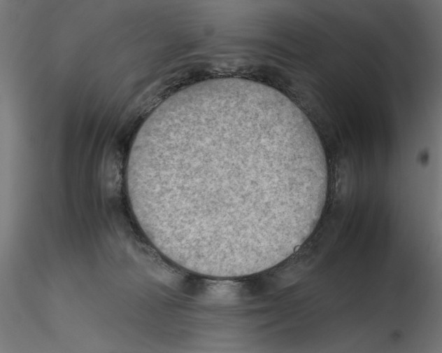 X0000116460226201001061045