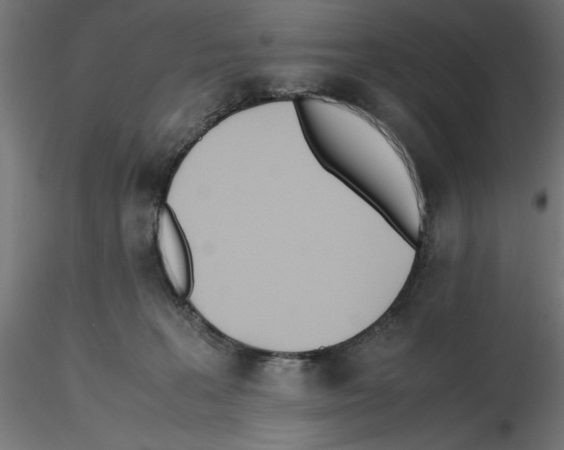 X0000116460227201001061045