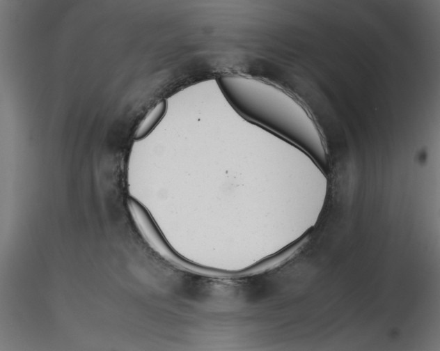 X0000116460229201001061045