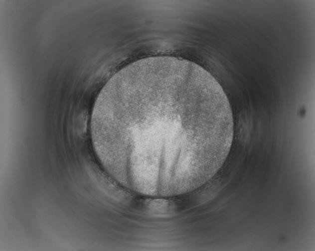 X0000116460230201001061045