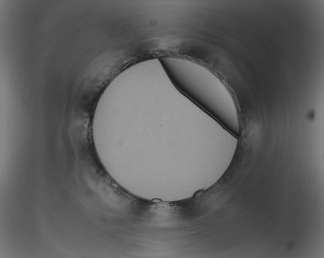 X0000116460231201001061045