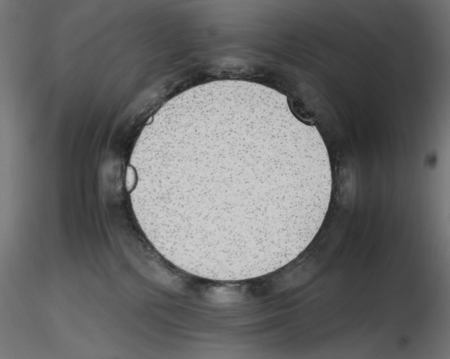 X0000116460232201001061045