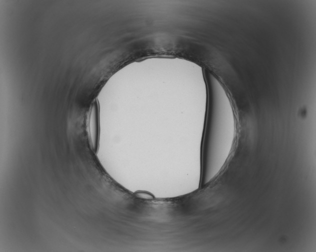 X0000116460233201001061045