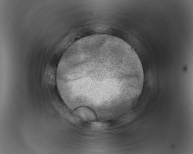 X0000116460234201001061045