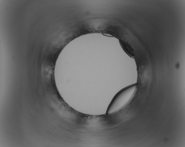 X0000116460235201001061045