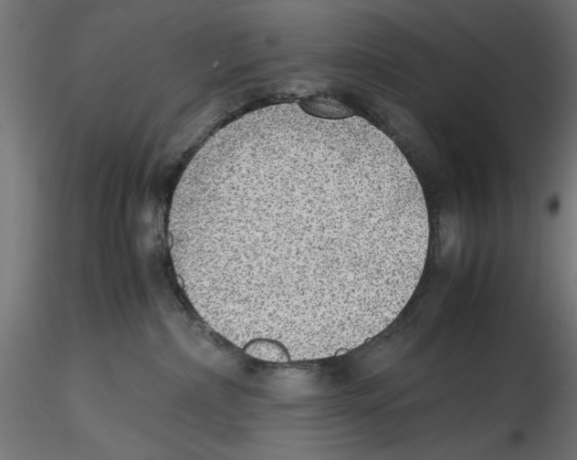 X0000116460236201001061045