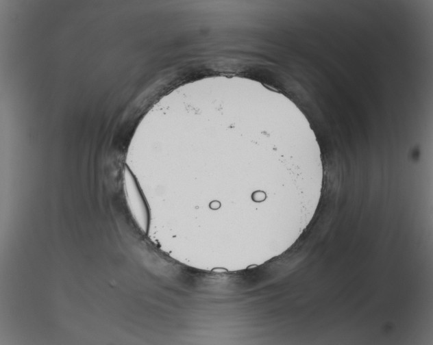 X0000116460237201001061045