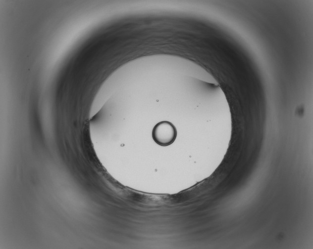 X0000116460239201001061045