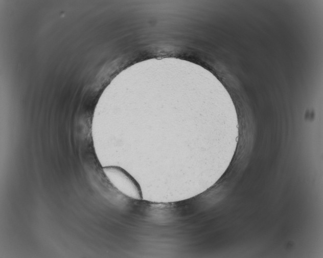 X0000116460240201001061045