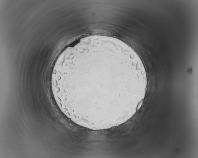 X0000116460241201001061044