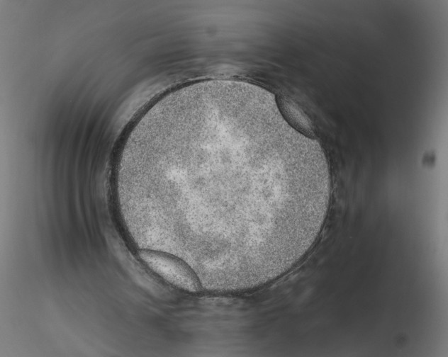 X0000116460242201001061044