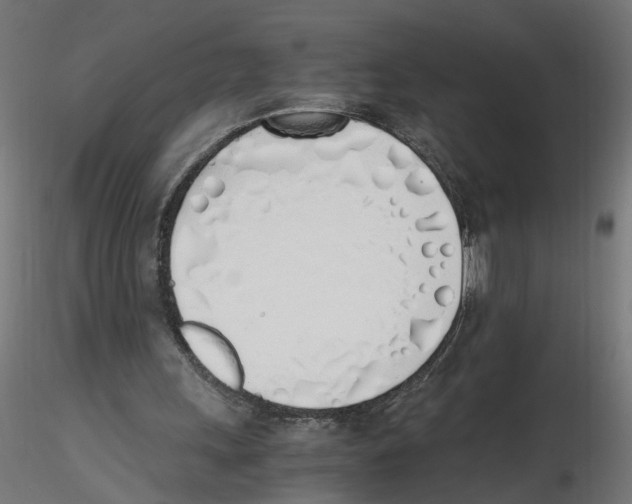 X0000116460243201001061044