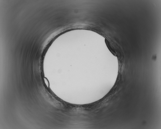 X0000116460244201001061044