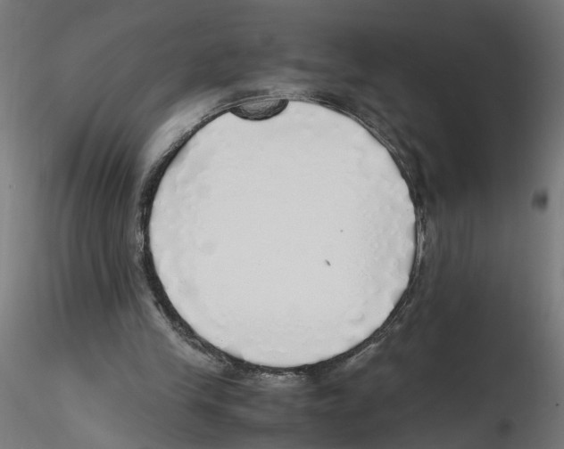 X0000116460245201001061044