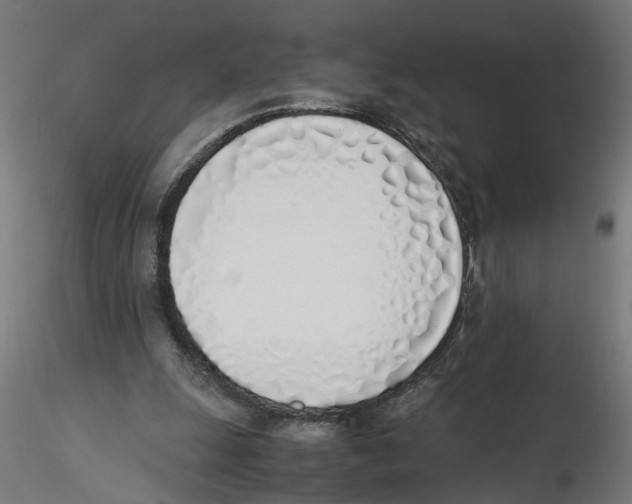 X0000116460247201001061044