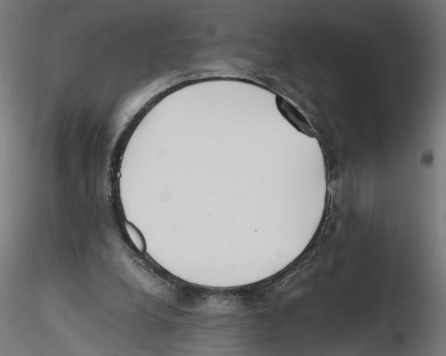 X0000116460248201001061044