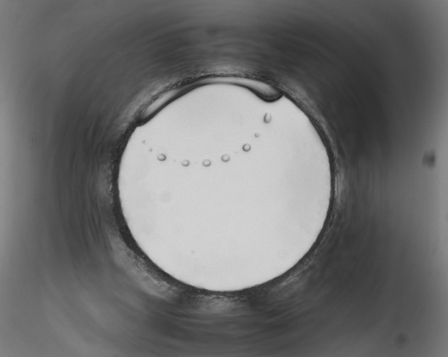 X0000116460249201001061044