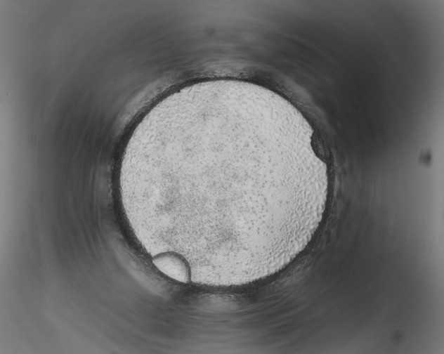 X0000116460250201001061044