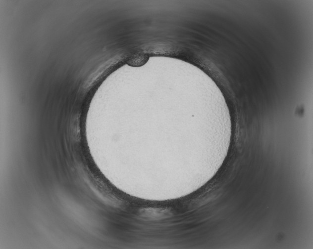 X0000116460251201001061044