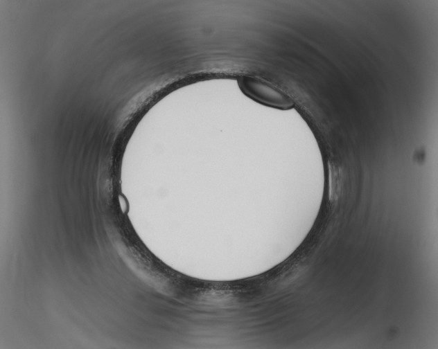 X0000116460252201001061044