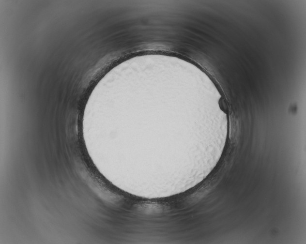 X0000116460253201001061044