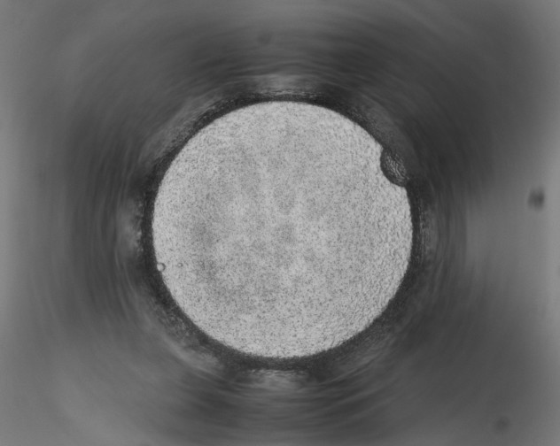 X0000116460255201001061044