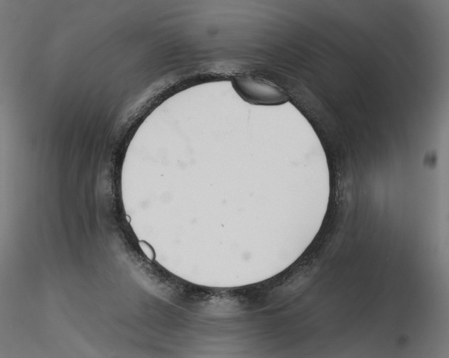 X0000116460256201001061044