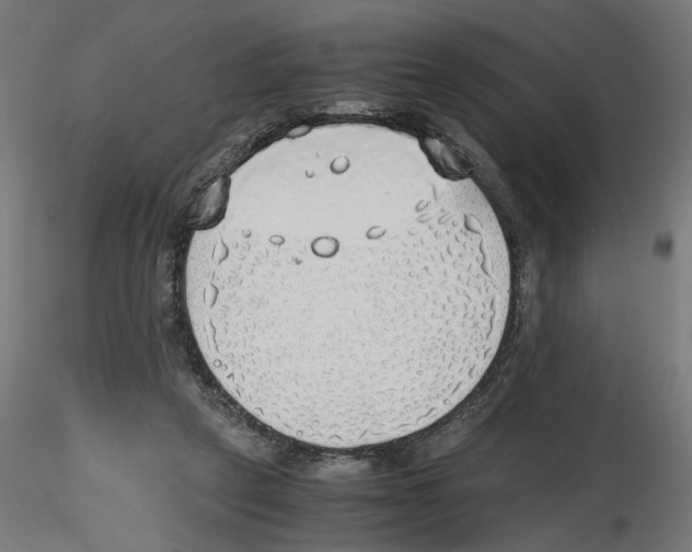 X0000116460257201001061044