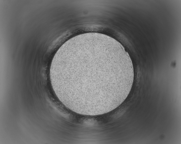 X0000116460258201001061044