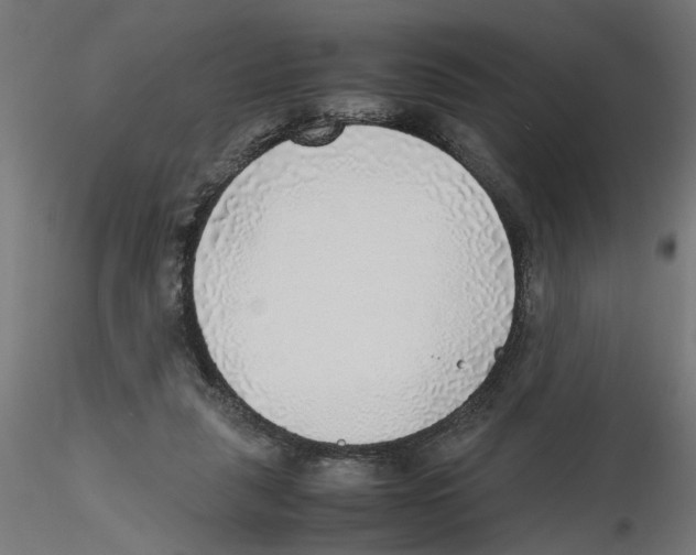X0000116460259201001061044