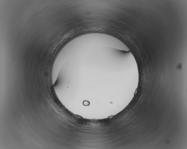 X0000116460260201001061044