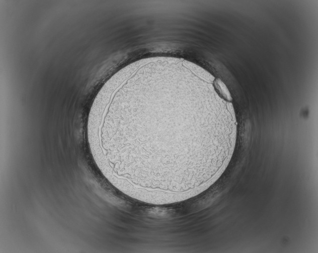 X0000116460261201001061044