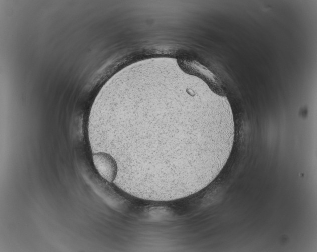X0000116460262201001061044
