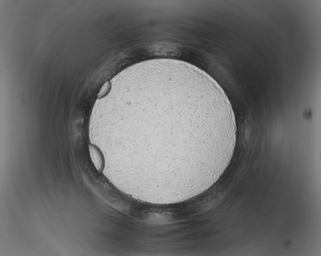 X0000116460263201001061044