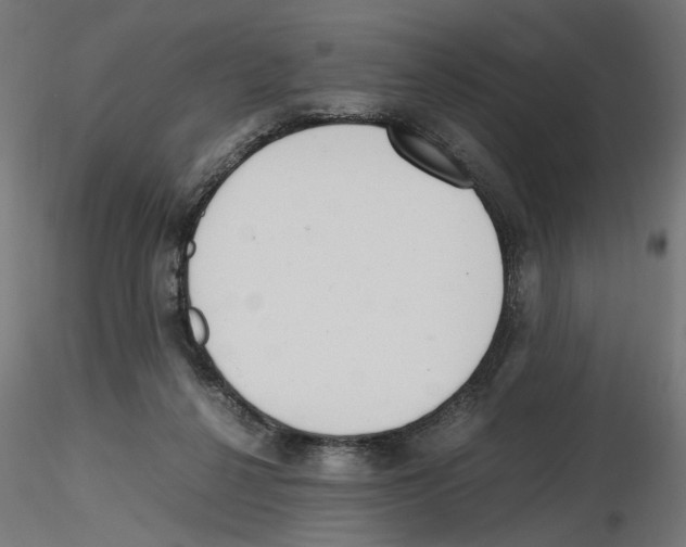 X0000116460264201001061044