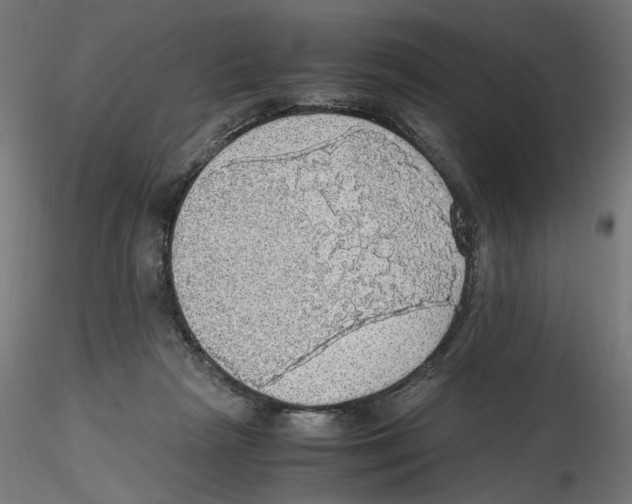X0000116460265201001061044